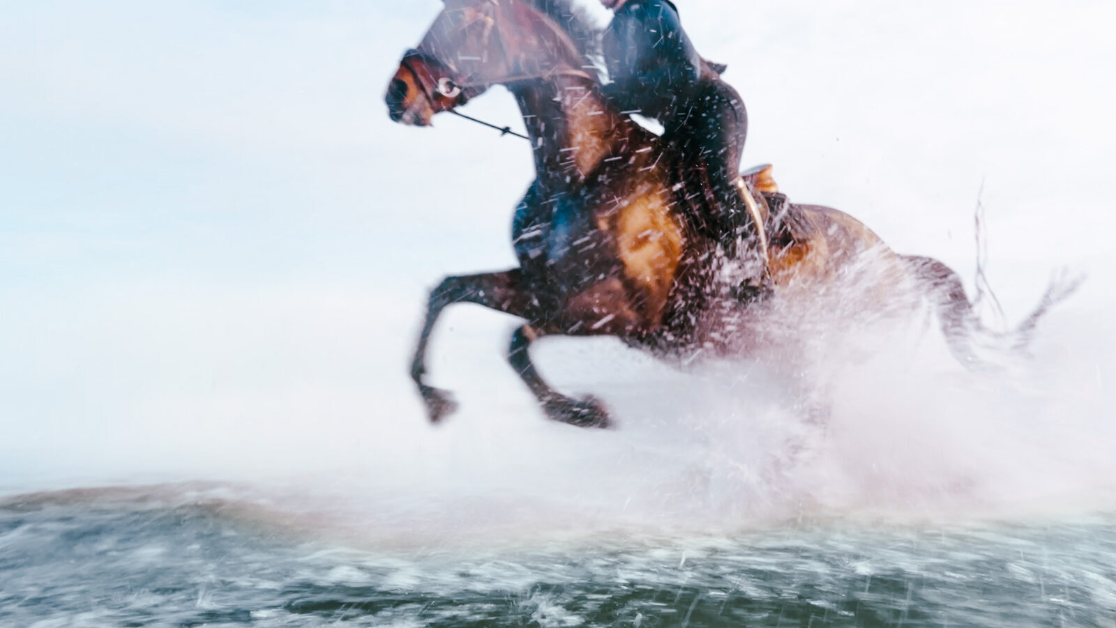rearing through spray